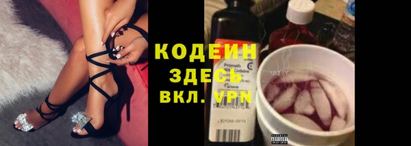 прущие крисы Бородино