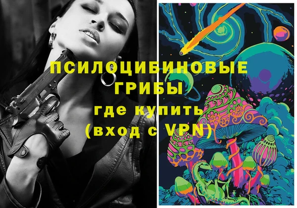 прущие крисы Бородино