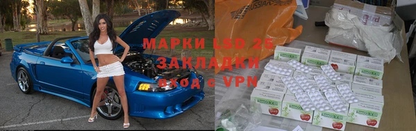 прущие крисы Бородино
